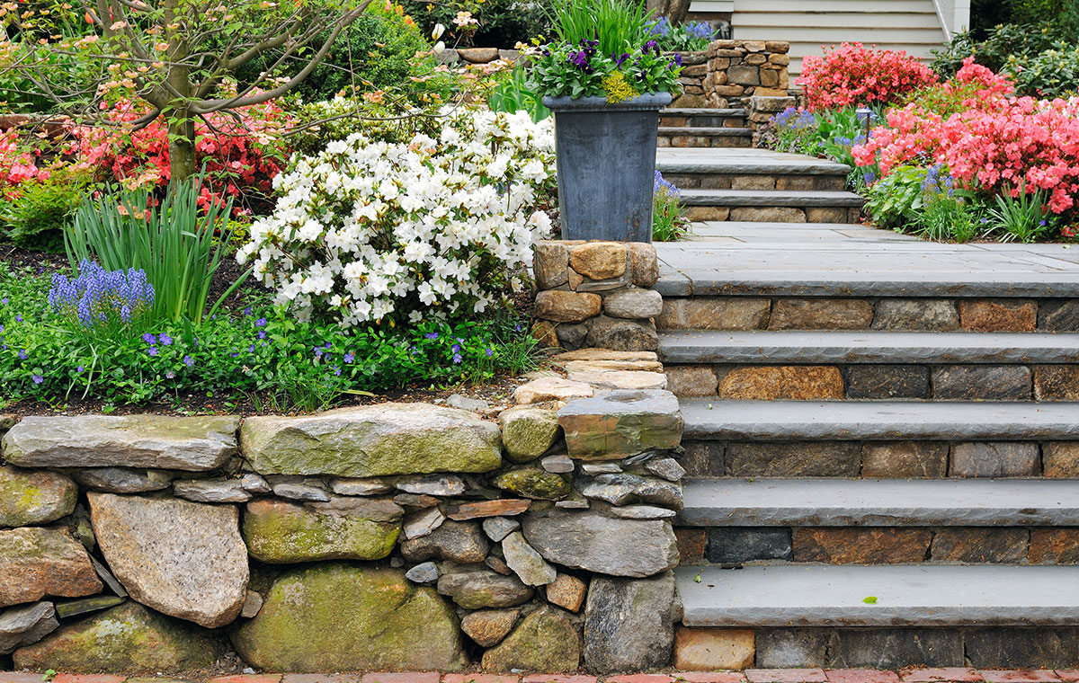 A charming stone wall with blooming flowers and ascending steps, found in Chester, CT.